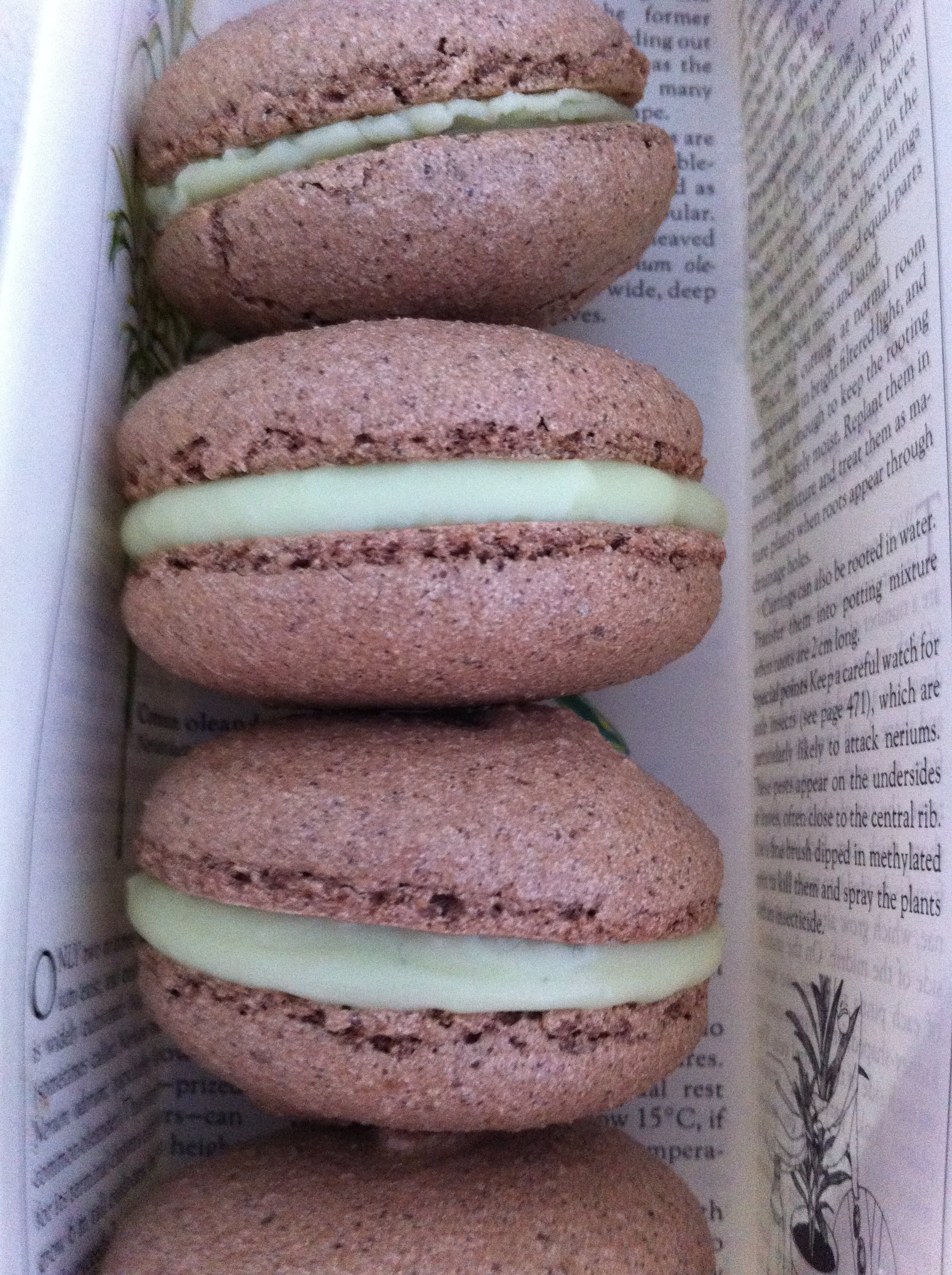 ganache macaron fillings